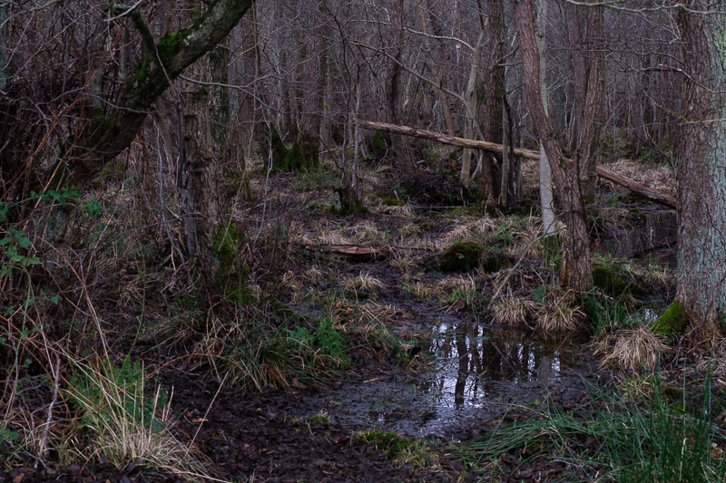 Photography by Unna Breum