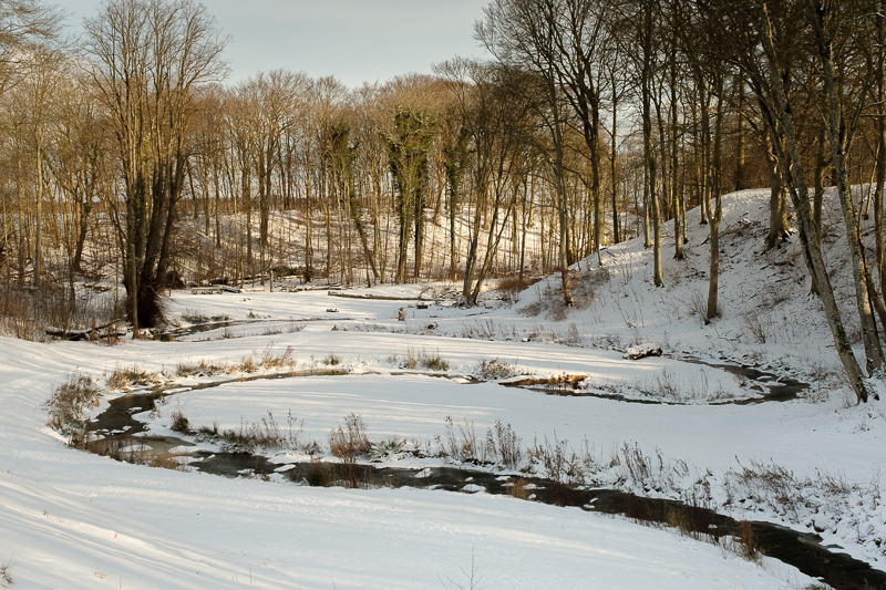 Photography by Unna Breum