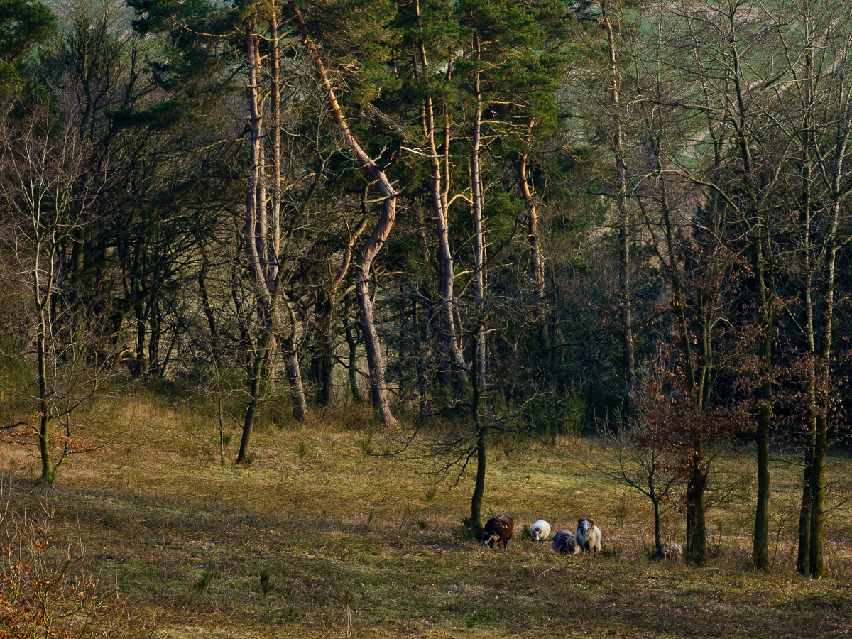 Photography by Unna Breum